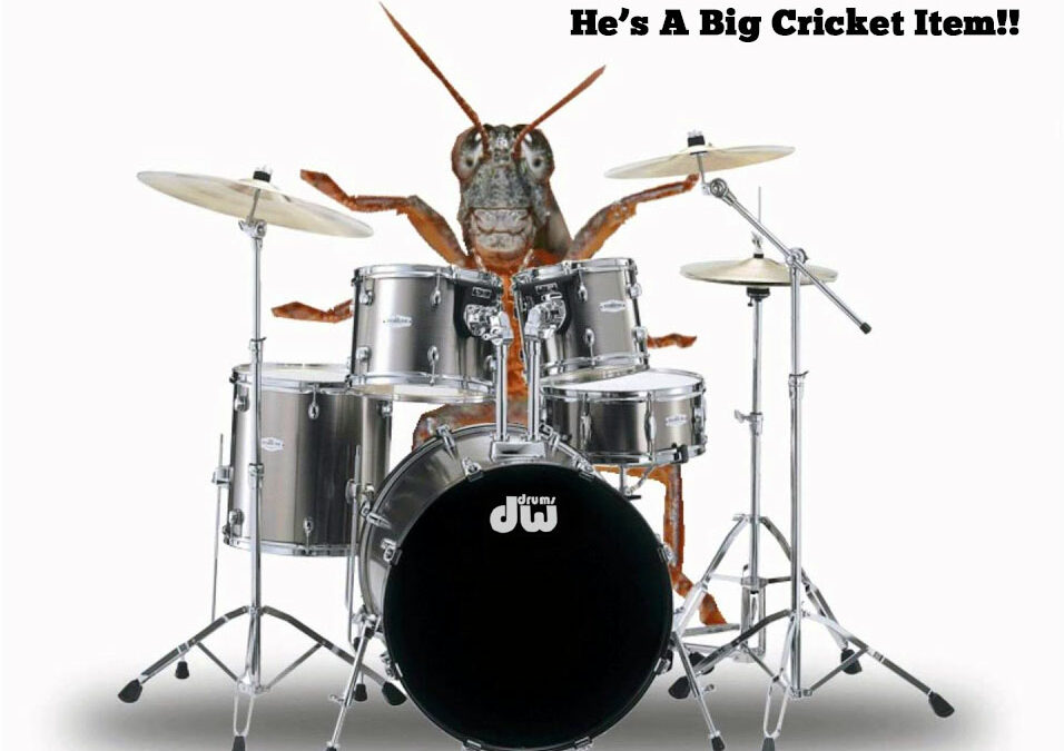 All Work and No Play…